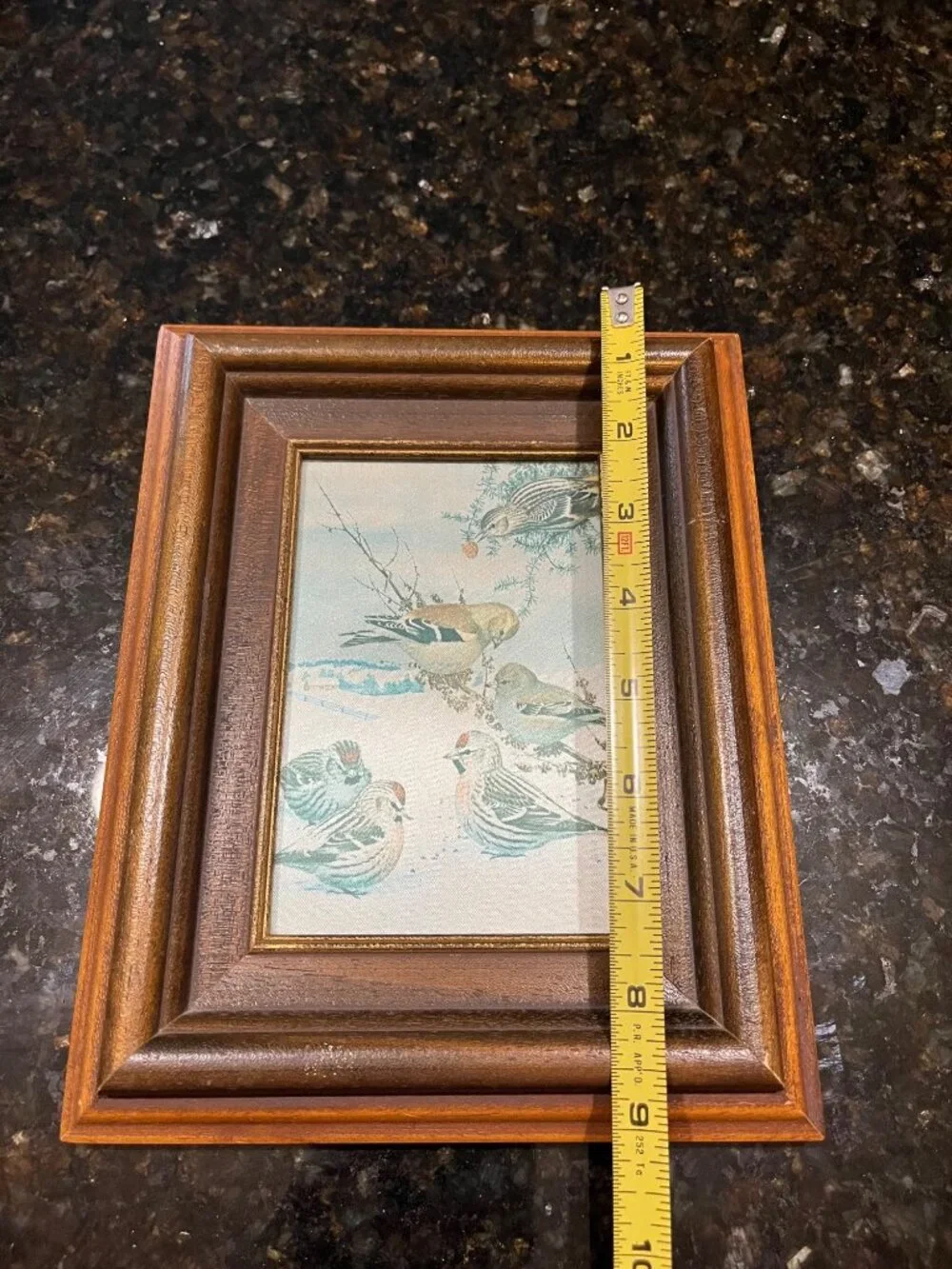 Wood Framed Iridescent Bird Winter Picture A971
